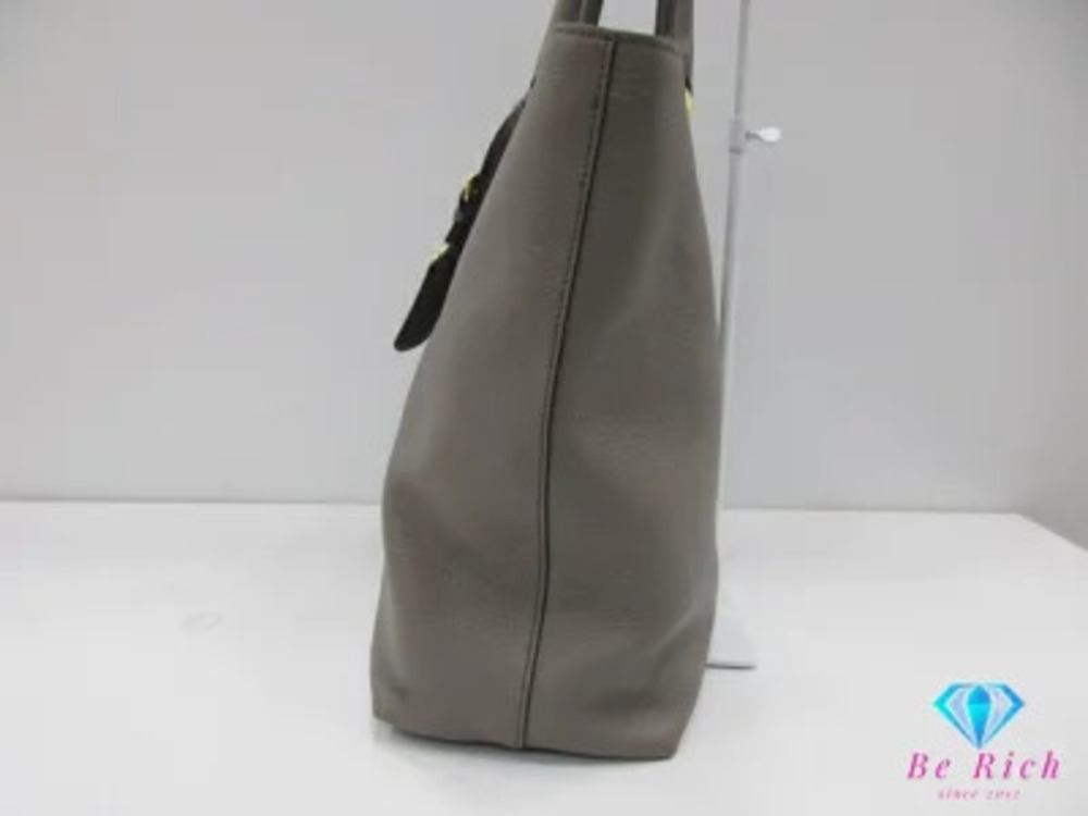 Prada Bag Triangle Leather Gray Greige Shoulder Plate PHENIX VITELLO Tote Gray